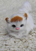 Кот из меха 3 во Закаменске