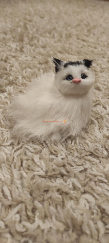 Купить Кот из меха 2 во Закаменске Кот из меха 2 во Закаменске